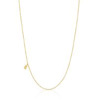 Колье Bold Bear из вермеля